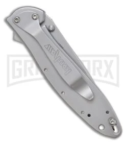 Kershaw Leek Assisted Opening Knife - Bead Blast Plain -Buck Knives Sales kershaw leek 1660 new BHQ 0143 jr side large