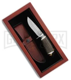 Schrade Elk Hunter Stag Fixed Blade Knife - Damascus Plain